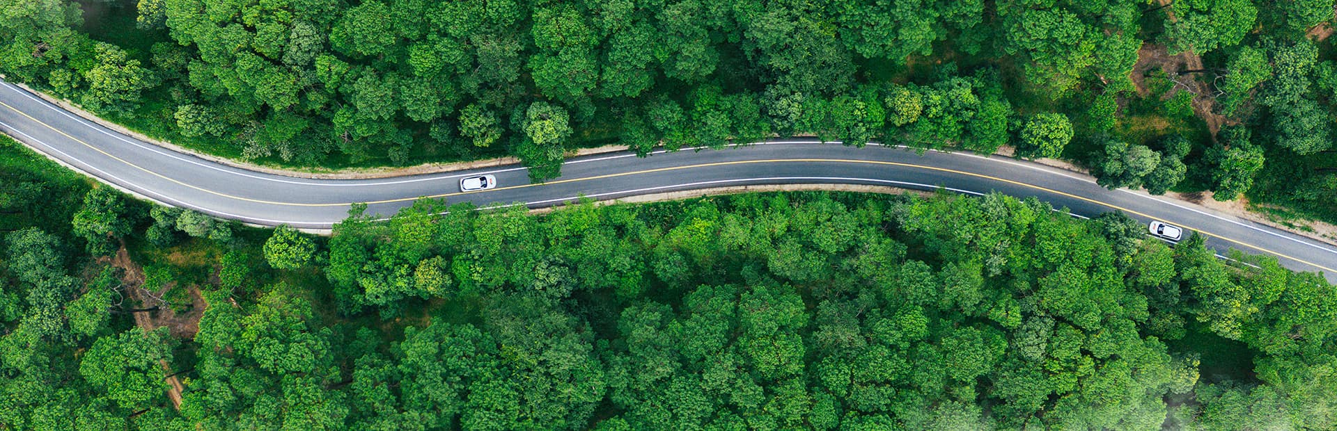 Luftaufnahme einer kurvenreichen Straße, die durch einen dichten grünen Wald führt, mit zwei weißen Autos, die in entgegengesetzter Richtung die Straße entlang fahren.